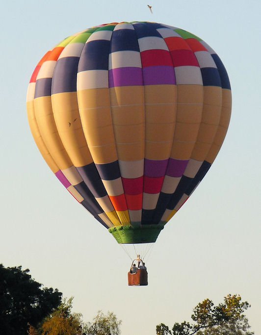 balloon179.jpg